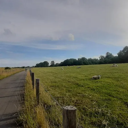 Strandkorb 29 - Gemuetliche Neu Sanierte An Der Ostsee Zwischen Dahme Und Heiligenhafen * Heringsdorf (Ostholstein)