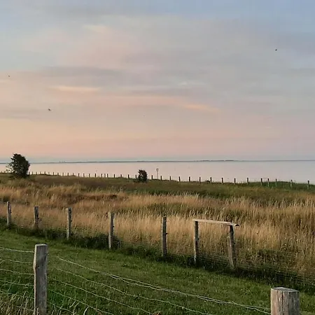 Strandkorb 29 - Gemuetliche Neu Sanierte An Der Ostsee Zwischen Dahme Und Heiligenhafen Lejlighed